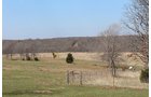 Tract 4 - Horse Pasture - OKLAHOMA LAND & REAL ESTATE AUCTION, 438 +/- Acres offered in 13 Tracts